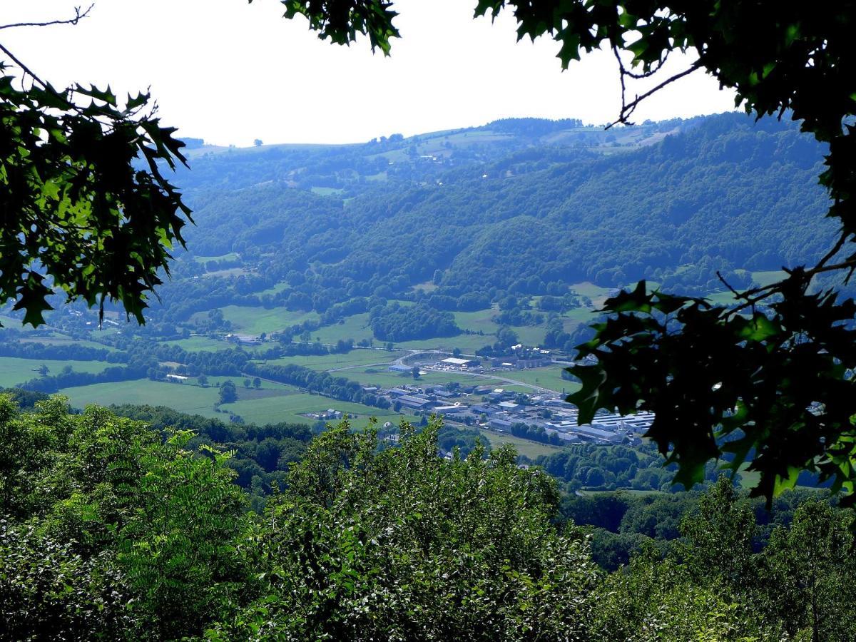 Hostellerie Saint Clement Vic-sur-Cère Exteriör bild